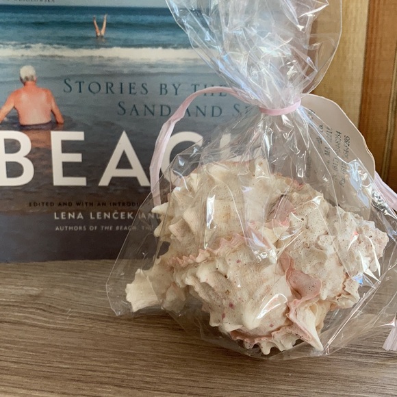 Seaport candle company handmade shell candle NWT - Picture 5 of 9